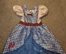 Halloween Costume - Dorothy Wizard of Oz