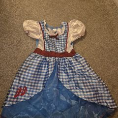 Halloween Costume - Dorothy Wizard of Oz