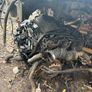 ford galaxy breaking Image 6