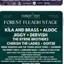 2 Saturday Tickets -Forest Fest Image 2