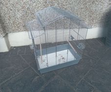 Large bird cage