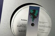 Blawan - what you do with what you have 12" vinyl