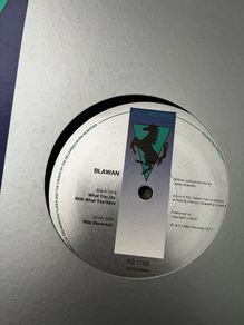 Blawan - what you do with what you have 12" vinyl