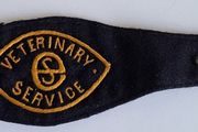 Irish Free State Arm Band