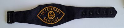 Irish Free State Arm Band