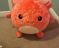 Large Kid's Toy