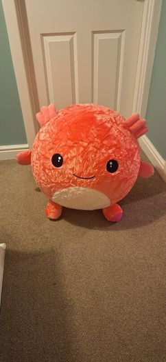 Large Kid's Toy