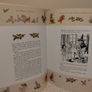 Enid Blyton, The Magical Collection storybook Hardback Book Image 6