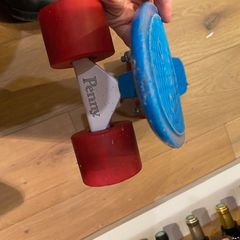 Genuine Penny Board