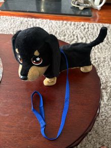 waggers dog