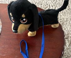waggers dog