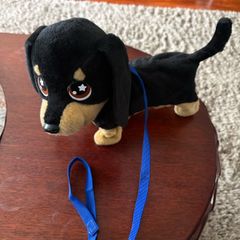 waggers dog