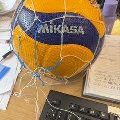 volly ball