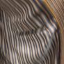 Brown Corduroy Jacket Image 4