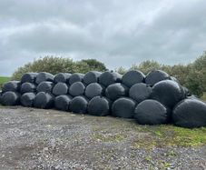 Round silage bales