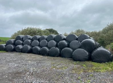 Round silage bales