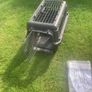 pet transporter Image 2