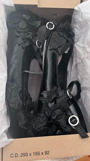 Beautiful Zara Ballet Flat Black Shoes