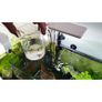 Z-1 Bio Protector Sl-aqua 10g No Planaria Image 4