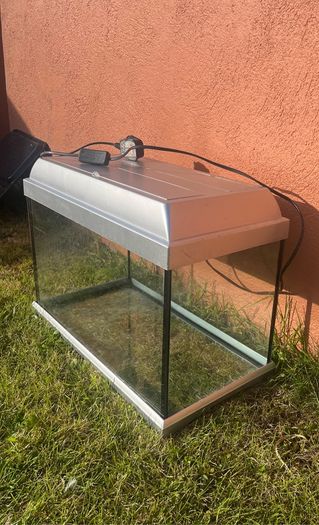 Fish Tank