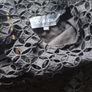 dress Image 2