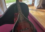 Mandolin