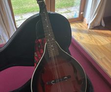 Mandolin
