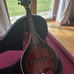 Mandolin