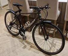 Men's GIANT "escape 3" bike
