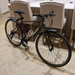 Men's GIANT "escape 3" bike