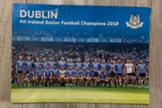 Dublin All-Ireland Senior Football Champions 2019 A5 Postcard