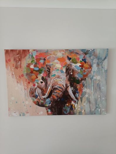 Colourful elephant wall art 60 x 90 cm