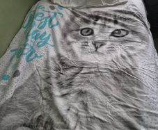 Single bed linen