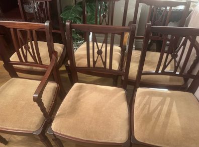 dining chairs