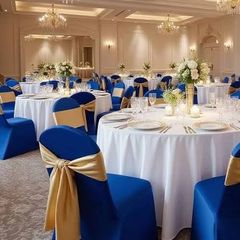 Chair covers x17 Royal Blue