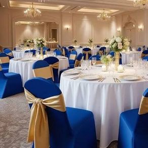 Chair covers x17 Royal Blue