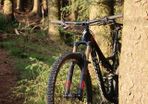 s-works stumpjumper