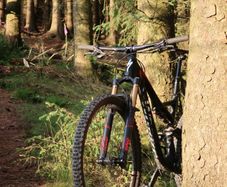 s-works stumpjumper