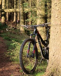 s-works stumpjumper