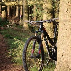 s-works stumpjumper