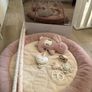 Mamas & Papas Welcome to the World Bunny Playmat & Activity Gym - Pink Image 2
