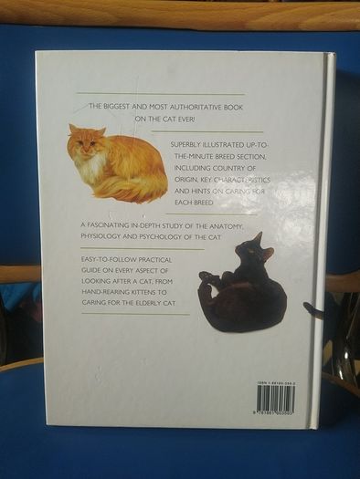 Giant Book of the Cat