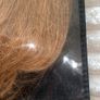hair Image 2