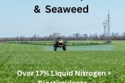 18% Liquid nitrogen &amp; Seaweed
