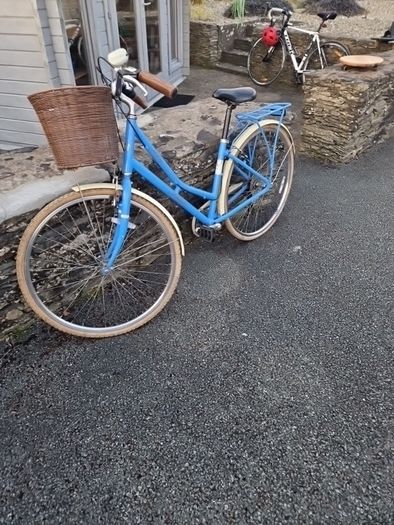 Ladies Bike