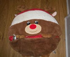 kids Christmas sleeping bags