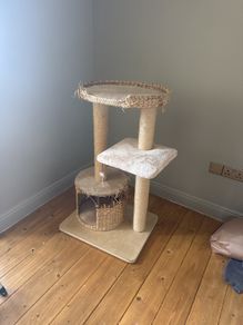 cat tree