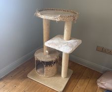 cat tree