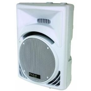 Paid PA Speakers (WHITE) 300w