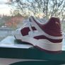 Puma Image 3